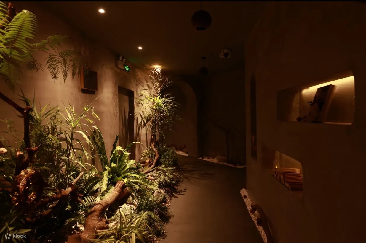  森spa | 泰式按摩 | 森林故事·国贸店